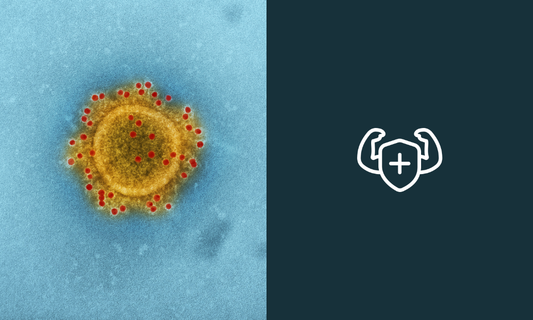Immunsystem stärken: So baust du dir deine perfekte Abwehr auf
